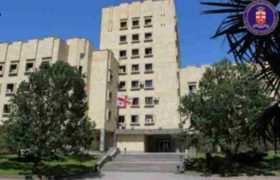 ხატია დეკანოიძის შვილს პროკურატურა საპროცესო შეთანხმებას უფორმებს