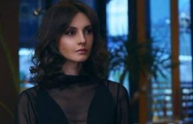 ნინო ცქიტიშვილს რუსი მოდელის დაბლოკვა დაავალეს