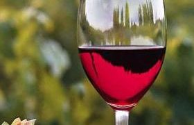  არის თუ არა ღვინოში ინვესტიცია მომგებიანი?