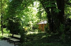 ძარცვა ქუთაისის ბოტანიკურ ბაღში