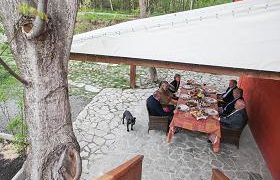 პრეზიდენტმა აშშ-ის ყოფილ და მოქმედ ელჩებს დუშეთში უმასპინძლა