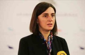 სააგენტოს "აწარმოე საქართველოში" მარიანა მორგოშია უხელმძღვანელებს