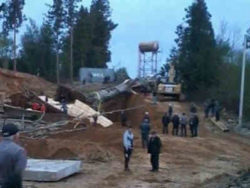 ივანიშვილის 250 წლოვანი წიფელი შუაზე გადატყდა