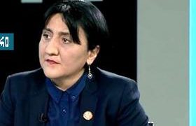 ირმა ინაშვილი: „არ ვენდობით 300 ხმოსანს, მგოსანს, ფრთოსანს“
