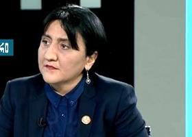 ირმა ინაშვილი: „არ ვენდობით 300 ხმოსანს, მგოსანს, ფრთოსანს“