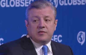 კვირიკაშვილმა რუსეთის წარმომადგენელს დაახურა - საქართველო არ არის პოსტ ქვეყანა