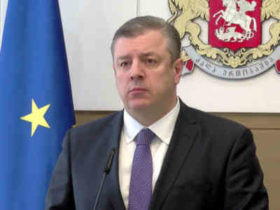 კვირიკაშვილი - "დასავლეთისკენ გადადგმული ყოველი ნაბიჯი რუსეთის მხრიდან აგრესიული ქმედებების მიზეზი ხდება"
