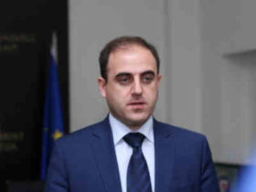 ნარმანია მარგველაშვილს მხარს უჭერს – პრეზიდენტი კონსტიტუციის განხილვაში აუცილებლად უნდა მონაწილეობდეს