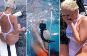 ამერიკელ პორნომსახიობს გადაღებისას ზვიგენმა უკბინა - ვიდეო