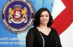 ნიუ-იორკში საქართველოს კონსული - დაკავებულ 15 ქართველს ბრალი მძიმე დანაშაულში აქვთ წარდგენილი - გთავაზობთ დაკავებულთა სიას