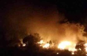 თურქეთში სამხედრო თვითმფრინავის ჩამოვარდნას 13 ადამიანი ემსხვერპლა