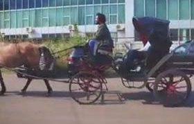 ,,გირჩმა“ ხელმოწერები ცესკოში ფაეტონით მიიტანა - ,,უსტარიც გვქონდა ბატის ბუმბულით დაწერილი“