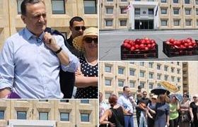 შალვა ნათელაშვილმა მთავრობას ატმები მიუტანა - ”ივანიშვილის დაპირებამ ჩაილურის წყალი დალია”