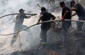 წაღვერის მთაზე ქარის შედეგად ცეცხლის კიდევ ერთი კერა გაღვივდა
