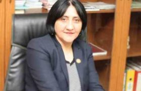 ირმა ინაშვილი თბილისის მერობას აპირებს
