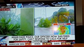 მანანა ფრუიძე ფლორიდიდან - ”მაიამის პოლიციამ თავშესაფარებს მიაშურა და ვერ უპასუხებენ სამაშველო ზარებს”