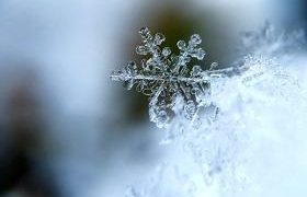 წლევანდელი ზამთარი ბოლო 100 წლის განმავლობაში ყველაზე ცივი იქნება