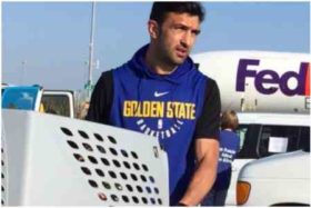 ზაზა ფაჩულია ქარიშხალ ირმასგან დაზარალებულ ძაღლებს და კატებს დაეხმარა