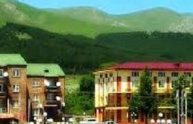  თეა წულუკიანი: „დმანისის მუნიციპალიტეტში ყურანზე დაფიცების ფაქტები არის"