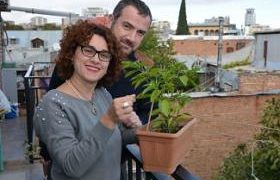 გოგა ბარბაქაძემ მყნობა ისწავლა გოგა ბარბაქაძემ მყნობა ისწავლა