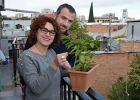 გოგა ბარბაქაძემ მყნობა ისწავლა