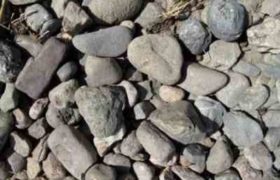 ქვეშის სკოლაში ჭერი ჩამოინგრა - დამლაგებელი სიკვდილს ძლივს გადაურჩა