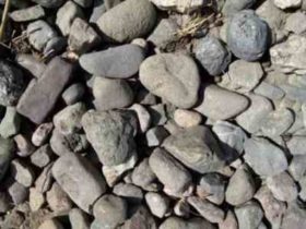 ქვეშის სკოლაში ჭერი ჩამოინგრა - დამლაგებელი სიკვდილს ძლივს გადაურჩა