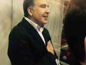 მიშა გამოუშვეს