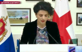 ნათია მეზვრიშვილი - ”ზვიად რატიანი იყო ნასვამი, ვერ აკონტროლებდა ქცევას და ლექსიკას, იქცეოდა აგრესიულად და შეურაცხყოფას აყენებდა სამართალდამცველებს”