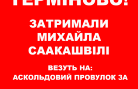 სააკაშვილის მომხრეები ასკოლდოვზე შეკრებას აპირებენ