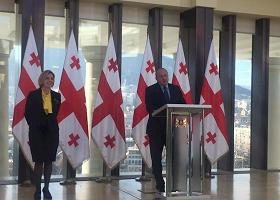 პრეზიდენტმა იუსტიციის უმაღლესი საბჭოს არამოსამართლე წევრად ანა დოლიძე დანიშნა