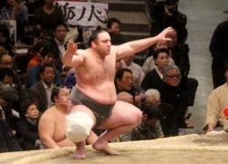 სუმოისტი ლევან გორგაძე იმპერატორის თასის მფლობელი გახდა