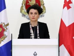 ნათია მეზვრიშვილი - "დავაკავეთ დამნაშავეთა სამყაროს წევრები "ჩიკი", "ბუბა", "ამბერგუნა"