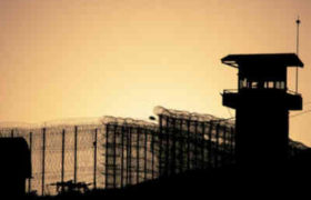 გლდანის #8 დაწესებულებაში პატიმარი ყელგამოჭრილი იპოვეს