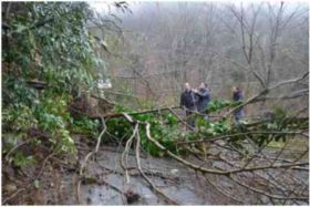 ლანჩხუთი-აცანის გზაზე მეწყერი ჩამოწვა