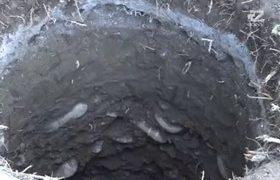 ბათუმში, საკანალიზაციო ჭაში, 19 წლის თეონა ჩოგაძე ჩავარდა