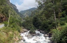 ახმეტაში 27 წლის მამაკაცი 150 მეტრიდან ხევში ჩავარდა და დაიღუპა