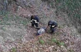 მაშველებმა ხადორის ხრამში ჩავარდნილი მამაკაცის ცხედარი ამოიყვანეს