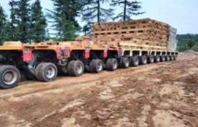  ბიძინა ივანიშვილისთვის ხე 256-საბურავიანი მისაბმელით გადააქვთ