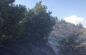 დიდი დიღმის მიმდებარე ფერდობს ცეცხლი უკიდია - დამწვარია 3 ათასი კვადრატული მეტრი დიდი დიღმის მიმდებარე ფერდობს ცეცხლი უკიდია - დამწვარია 3 ათასი კვადრატული მეტრი