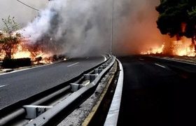 “სიცხის ტალღა ისეთი იყო, რომ მანქანების ბორბლები დადნა" - საბერძნეთის ტრაგედიის ახალი დეტალები “სიცხის ტალღა ისეთი იყო, რომ მანქანების ბორბლები დადნა" - საბერძნეთის ტრაგედიის ახალი დეტალები