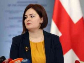 "პარლამენტის გადაწყვეტილება, რომელიც შეკრებებსა და მანიფესტაციებში მონაწილეობის უფლების შეზღუდვას უკავშირდება, რისკებს შეიცავს და პრობლემურია" - ნაცვლიშვილი