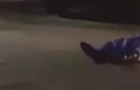 რუსთავში მამაკაცი მე-7 სართულიდან გადმოხტა და თავი მოიკლა - ვიდეო