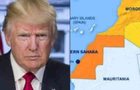 ტრამპი ესპანეთის მთავრობას საჰარის გასწვრივ კედლის აშენებას სთავაზობს ტრამპი ესპანეთის მთავრობას საჰარის გასწვრივ კედლის აშენებას სთავაზობს