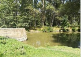 "შვილები დავტოვე და ტანსაცმლით გადავხტი მდინარეში" - 24 წლის მარიამ სადაღაშვილმა 10 წლის გოგო გადაარჩინა