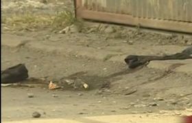 ”მუშას ფეხებზე თითები არ ჰქონდა, მეორე მუშა გარაჟიდან აქეთ ისროლა” - რუსთავში აფეთქების დეტალები ”მუშას ფეხებზე თითები არ ჰქონდა, მეორე მუშა გარაჟიდან აქეთ ისროლა” - რუსთავში აფეთქების დეტალები