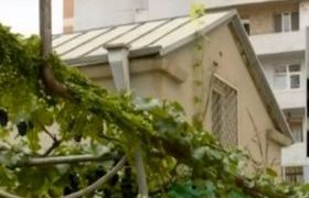 შენობაში, რომელშიც, სავარაუდოდ, ლევან ყიფიანს გაუპატიურებით ემუქრებოდნენ, ახლა საბავშვო ბაღია
