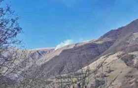 ოკუპირებული სამაჩაბლოს ტერიტორიაზე ტყის მასივი იწვის