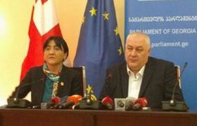 ”სალომე არ მომწონს, მაგრამ სხვა გზა არ გვაქვს” - პატრიოტთა ალიანსი მხარს სალომე ზურაბიშვილს დაუჭერს