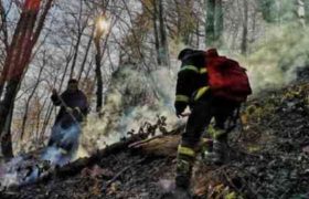 ზეკარის ტყეში ხანძარია